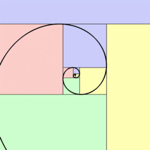 Fibonacci Spiral